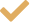 check mark