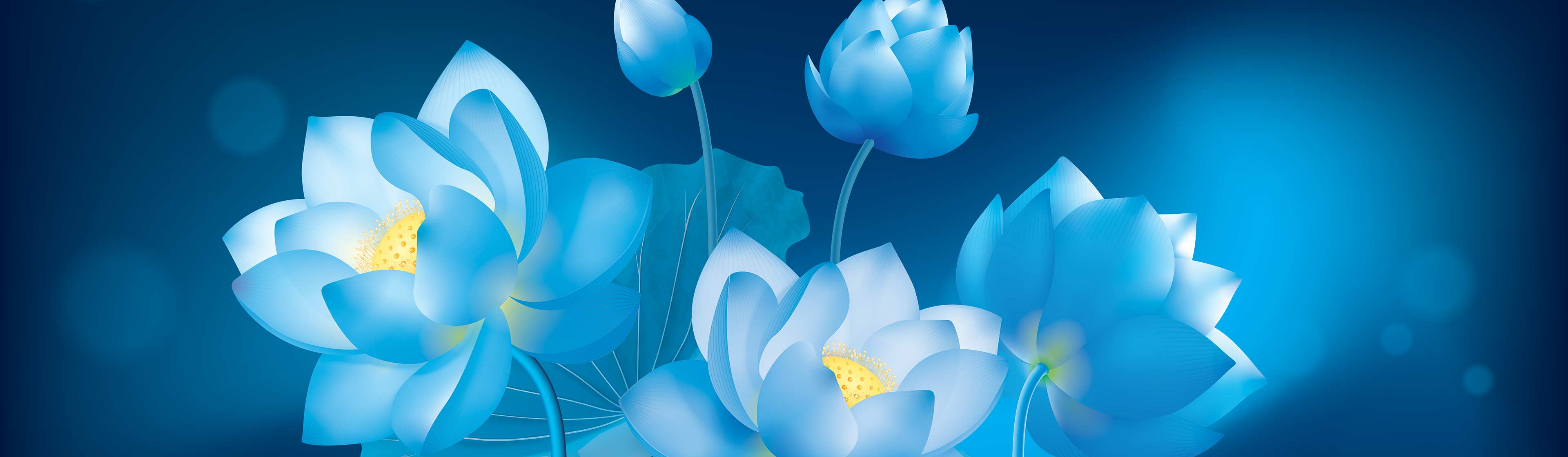 service_background